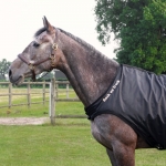 Back on Track Horse Walker / Exercise Rug